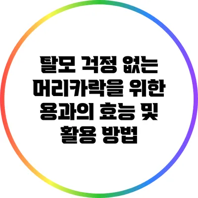 탈모 걱정 없는 머리카락을 위한 용과의 효능 및 활용 방법