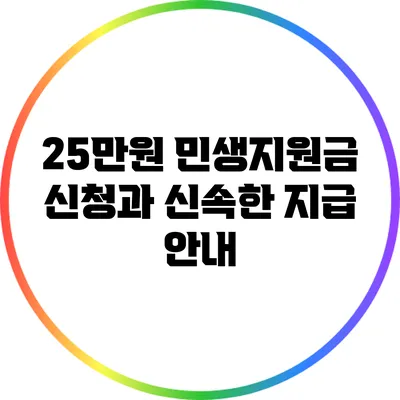 25만원 민생지원금 신청과 신속한 지급 안내