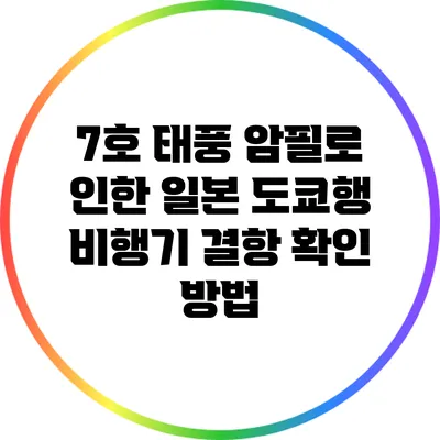 7호 태풍 암필로 인한 일본 도쿄행 비행기 결항 확인 방법