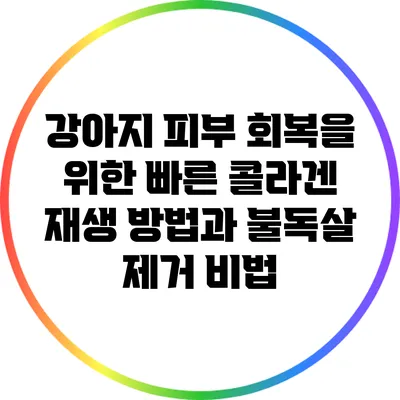 강아지 피부 회복을 위한 빠른 콜라겐 재생 방법과 불독살 제거 비법