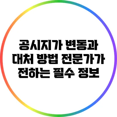 공시지가 변동과 대처 방법: 전문가가 전하는 필수 정보