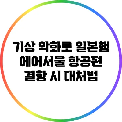 기상 악화로 일본행 에어서울 항공편 결항 시 대처법