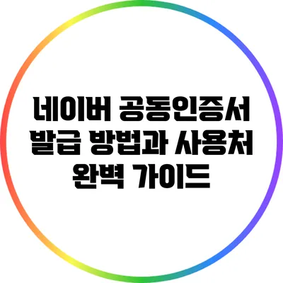 네이버 공동인증서 발급 방법과 사용처 완벽 가이드