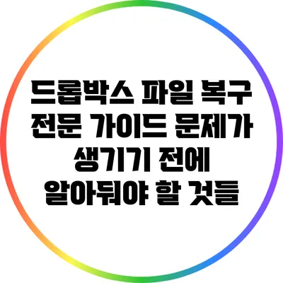 드롭박스 파일 복구 전문 가이드: 문제가 생기기 전에 알아둬야 할 것들