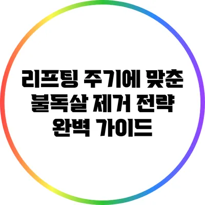 리프팅 주기에 맞춘 불독살 제거 전략 완벽 가이드