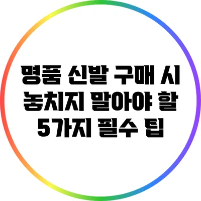 명품 신발 구매 시 놓치지 말아야 할 5가지 필수 팁