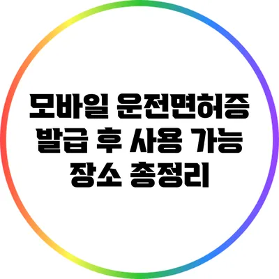 모바일 운전면허증 발급 후 사용 가능 장소 총정리