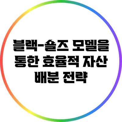 블랙-숄즈 모델을 통한 효율적 자산 배분 전략