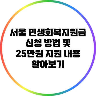 서울 민생회복지원금 신청 방법 및 25만원 지원 내용 알아보기