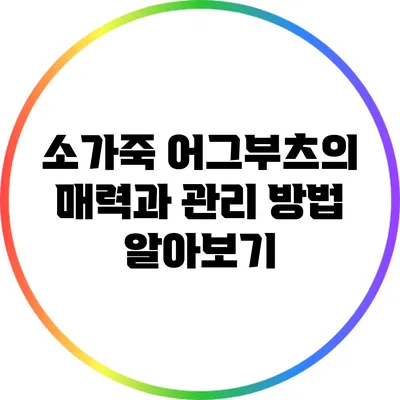 소가죽 어그부츠의 매력과 관리 방법 알아보기