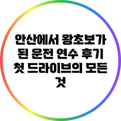 안산에서 왕초보가 된 운전 연수 후기: 첫 드라이브의 모든 것