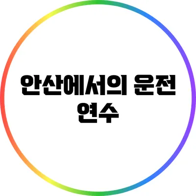 안산에서의 운전 연수