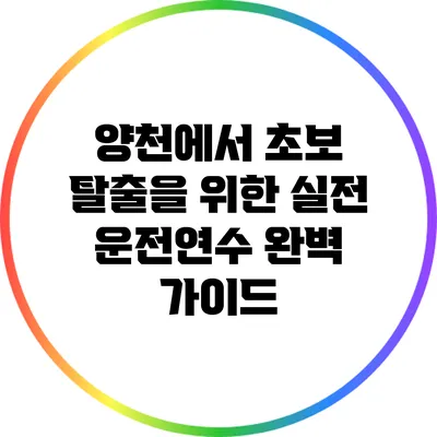 양천에서 초보 탈출을 위한 실전 운전연수 완벽 가이드