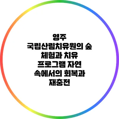 영주 국립산림치유원의 숲 체험과 치유 프로그램: 자연 속에서의 회복과 재충전