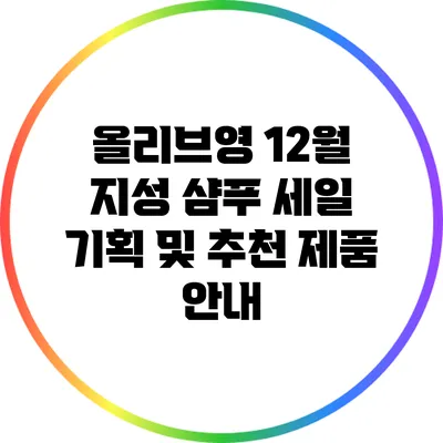 올리브영 12월 지성 샴푸 세일 기획 및 추천 제품 안내