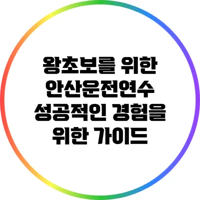 왕초보를 위한 안산운전연수: 성공적인 경험을 위한 가이드