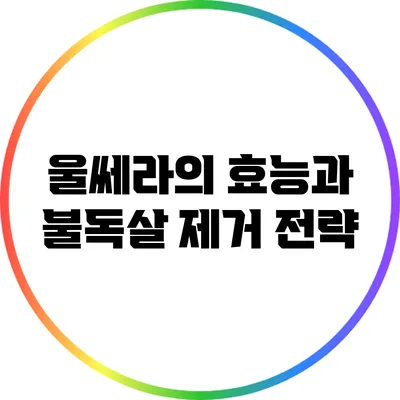 울쎄라의 효능과 불독살 제거 전략