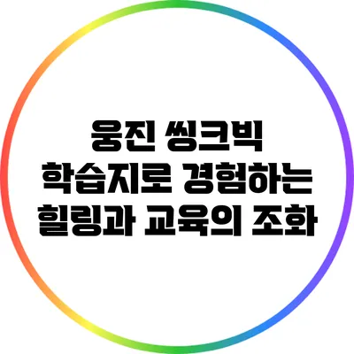 웅진 씽크빅 학습지로 경험하는 힐링과 교육의 조화