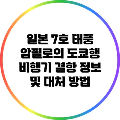 일본 7호 태풍 암필로의 도쿄행 비행기 결항 정보 및 대처 방법