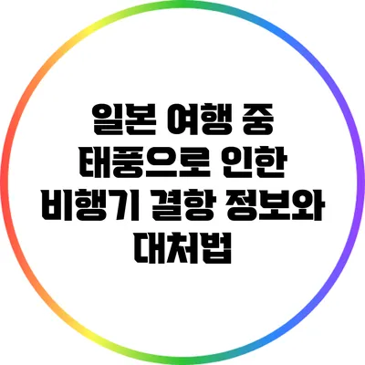 일본 여행 중 태풍으로 인한 비행기 결항 정보와 대처법