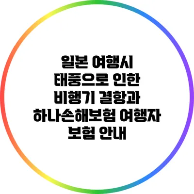 일본 여행시 태풍으로 인한 비행기 결항과 하나손해보험 여행자 보험 안내