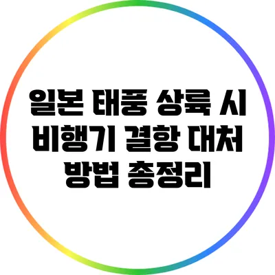 일본 태풍 상륙 시 비행기 결항 대처 방법 총정리