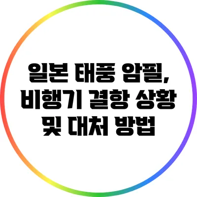 일본 태풍 암필, 비행기 결항 상황 및 대처 방법