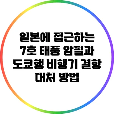 일본에 접근하는 7호 태풍 암필과 도쿄행 비행기 결항 대처 방법