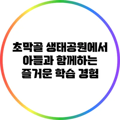 초막골 생태공원에서 아들과 함께하는 즐거운 학습 경험