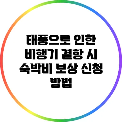 태풍으로 인한 비행기 결항 시 숙박비 보상 신청 방법