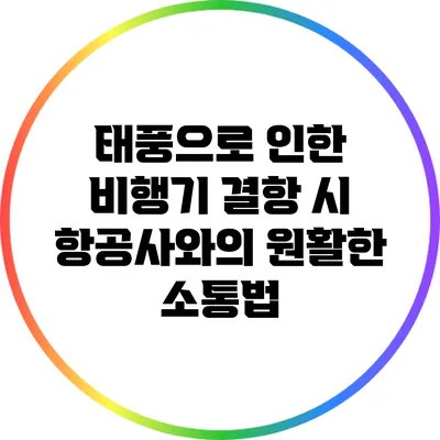 태풍으로 인한 비행기 결항 시 항공사와의 원활한 소통법