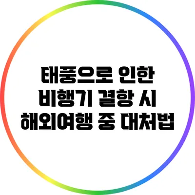 태풍으로 인한 비행기 결항 시 해외여행 중 대처법