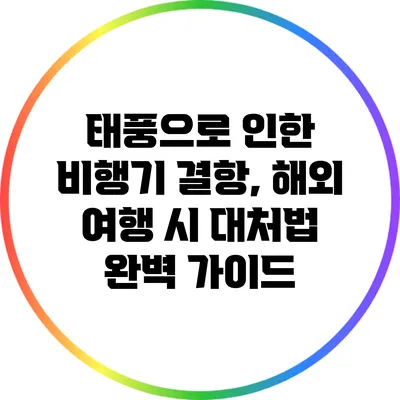 태풍으로 인한 비행기 결항, 해외 여행 시 대처법 완벽 가이드
