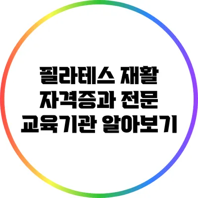 필라테스 재활: 자격증과 전문 교육기관 알아보기