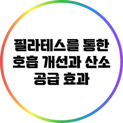 필라테스를 통한 호흡 개선과 산소 공급 효과