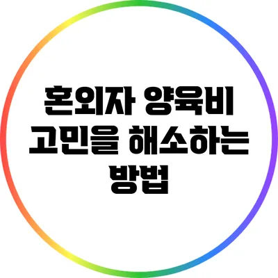 혼외자 양육비 고민을 해소하는 방법