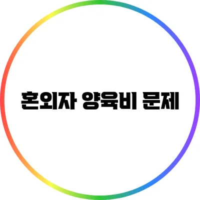 혼외자 양육비 문제