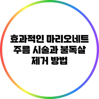효과적인 마리오네트 주름 시술과 불독살 제거 방법