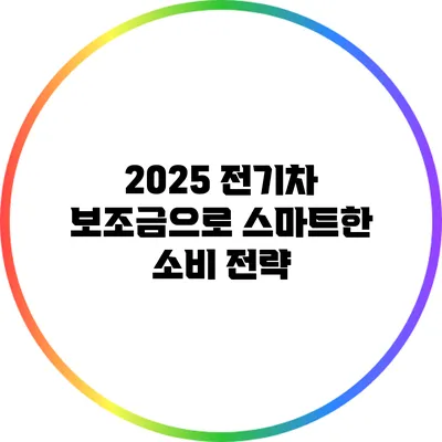 2025 전기차 보조금으로 스마트한 소비 전략