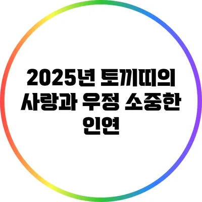 2025년 토끼띠의 사랑과 우정 소중한 인연