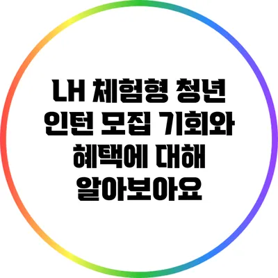 LH 체험형 청년 인턴 모집: 기회와 혜택에 대해 알아보아요