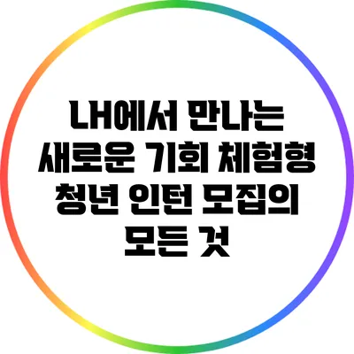 LH에서 만나는 새로운 기회: 체험형 청년 인턴 모집의 모든 것