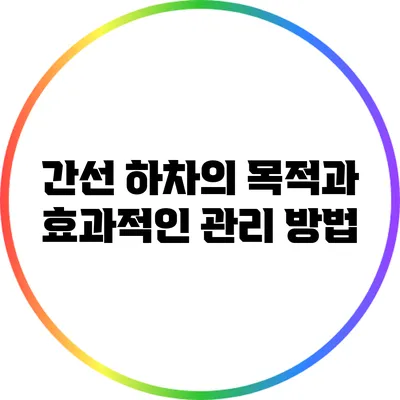 간선 하차의 목적과 효과적인 관리 방법