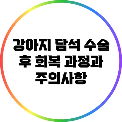 강아지 담석 수술 후 회복 과정과 주의사항