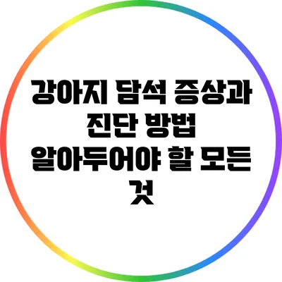 강아지 담석 증상과 진단 방법: 알아두어야 할 모든 것