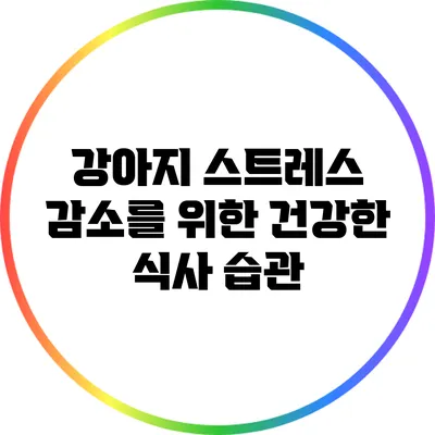 강아지 스트레스 감소를 위한 건강한 식사 습관