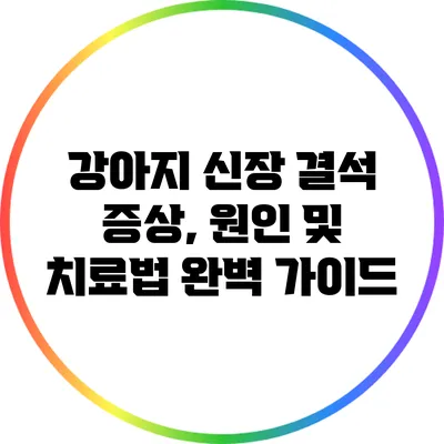 강아지 신장 결석: 증상, 원인 및 치료법 완벽 가이드