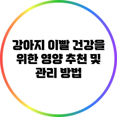 강아지 이빨 건강을 위한 영양 추천 및 관리 방법