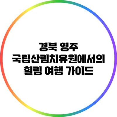 경북 영주 국립산림치유원에서의 힐링 여행 가이드