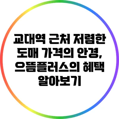 교대역 근처 저렴한 도매 가격의 안경, 으뜸플러스의 혜택 알아보기